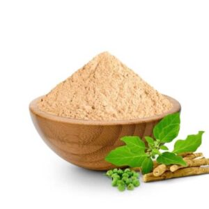 Ginseng Extract Powder