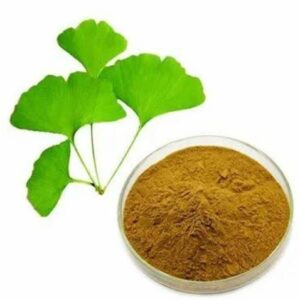 Ginkgo Biloba Extract Powder
